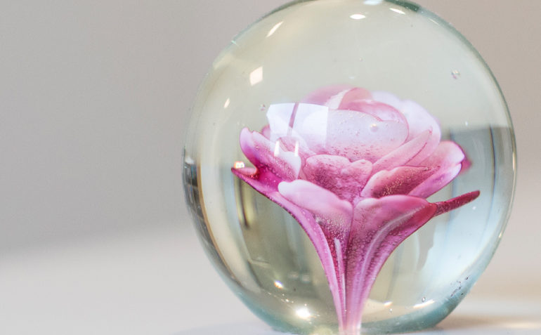 Eine Glasvase, geschmückt mit einer leuchtend rosa Blume.